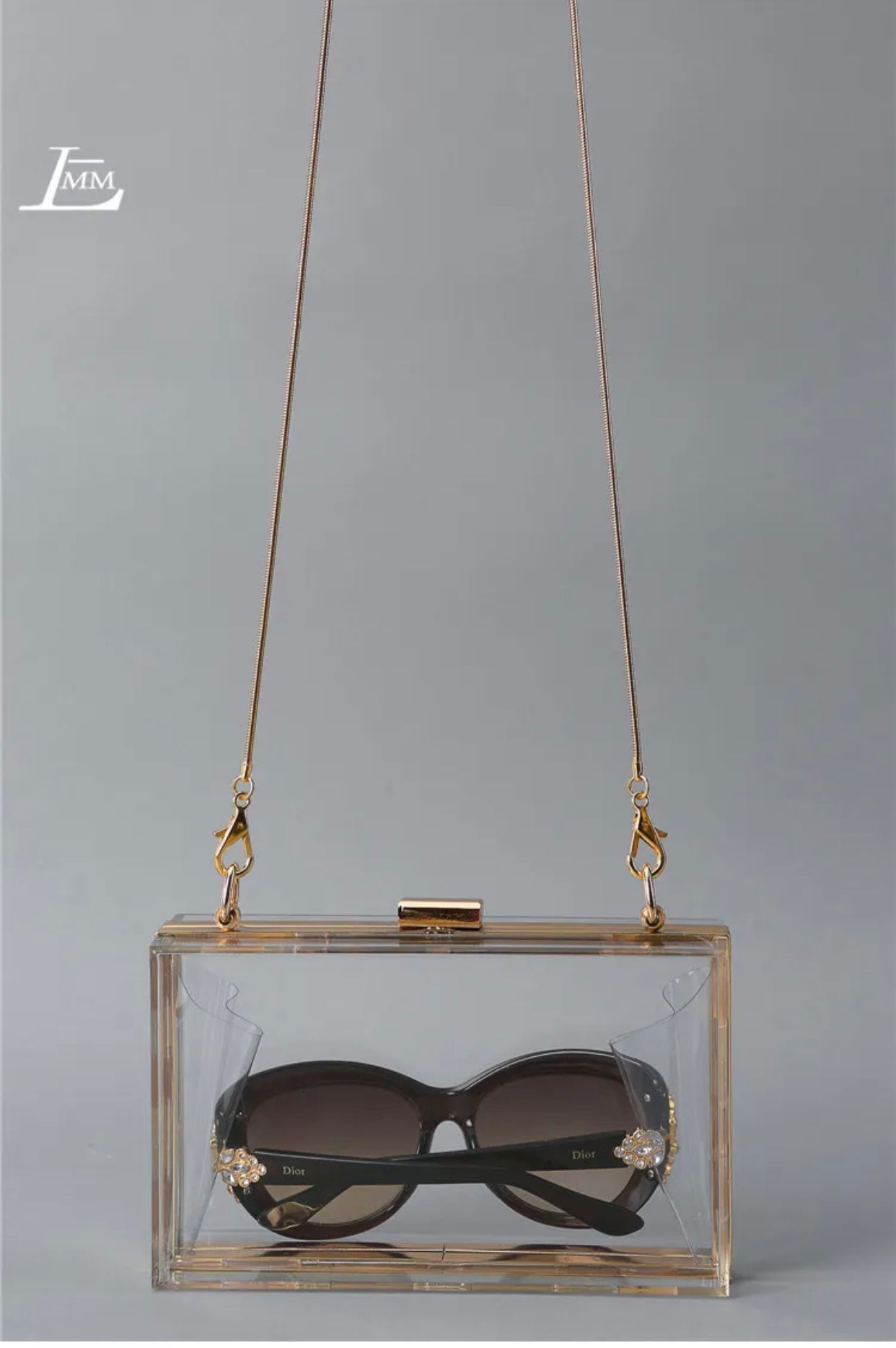 Transparent Purse